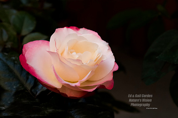 7D2 2015-05-12-3360