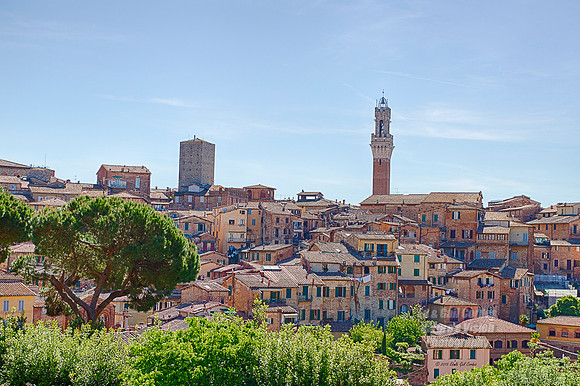 1D4 2015-05-12-4206_HDR A