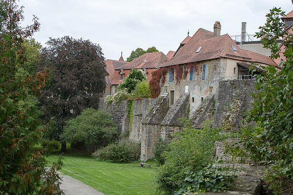 7D 2013-09-23-2977