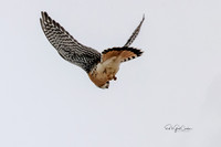 R5 2022-01-12-9810-Edit