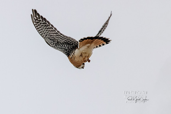 R5 2022-01-12-9810-Edit