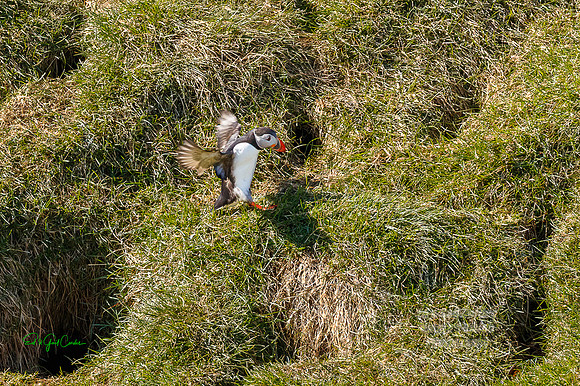 7D2E 2022-05-06-1579-Edit