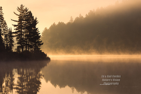 1D4 2014-09-29-2183