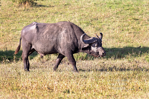 R5 2023-02-18-5619-Edit