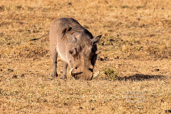 R5 2023-02-18-6085-Edit