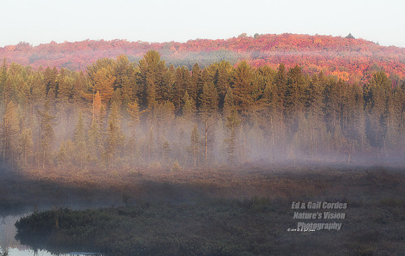 1D4 2014-09-29-2067