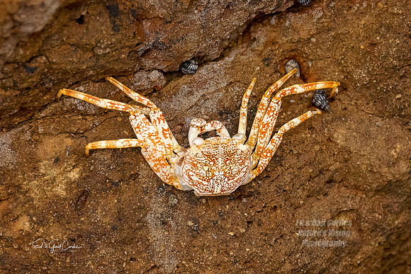 R5 2023-01-18-5045-Edit
