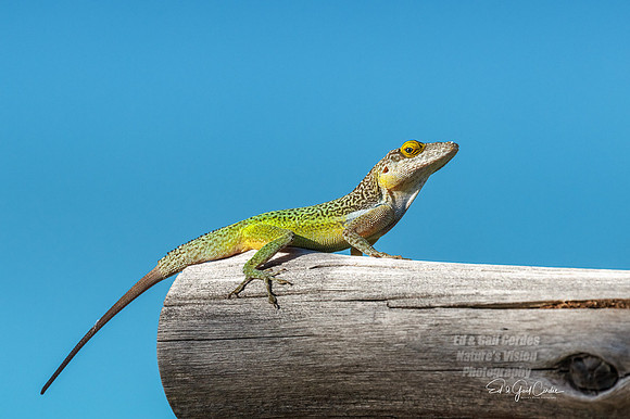R7 2023-01-18-1367-Edit