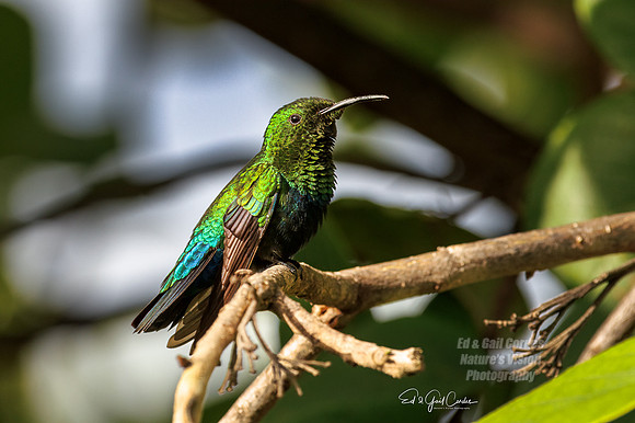 R7 2023-01-18-1452-Edit