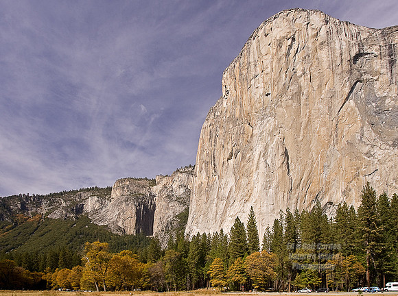 Yosemite Sequoia 2008-7704