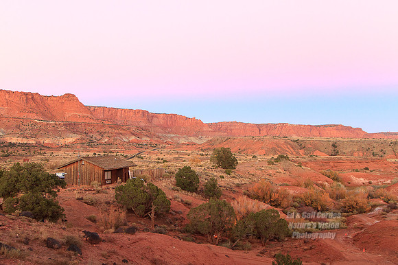 7D 2012-10-18-7496