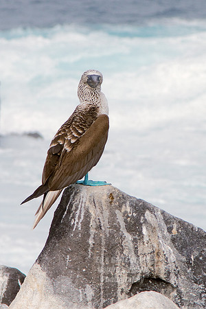 7D 2011-06-15-2081