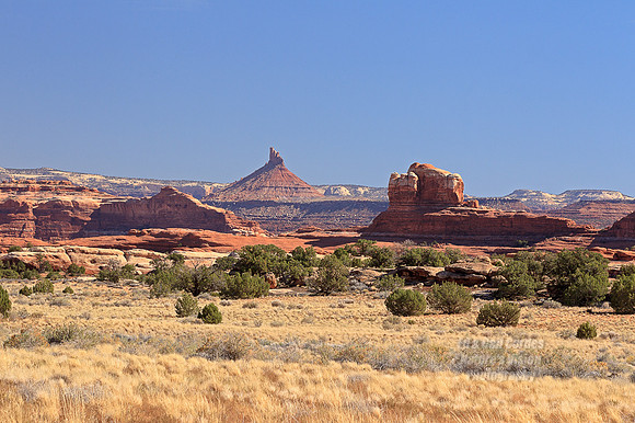 1D4 2012-10-21-2799