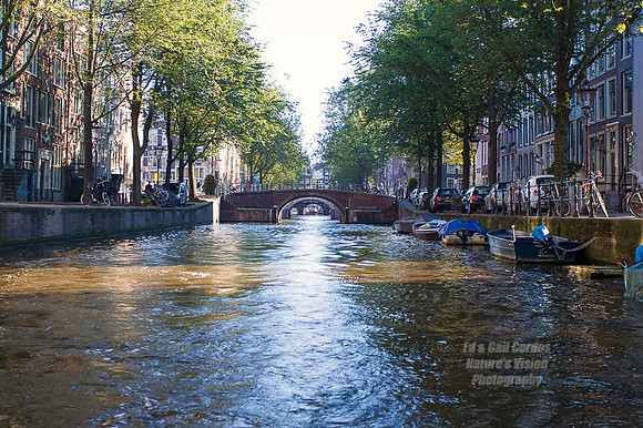1D4 2013-09-28-7003