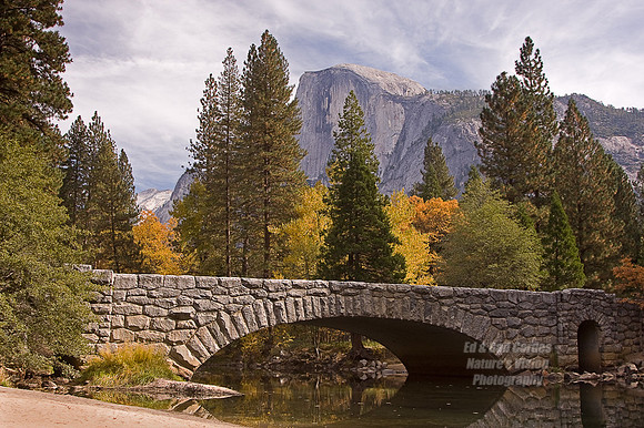 Yosemite Sequoia 2008-3818