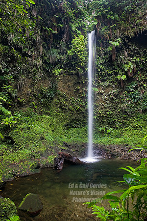 Dominica 2007-0332