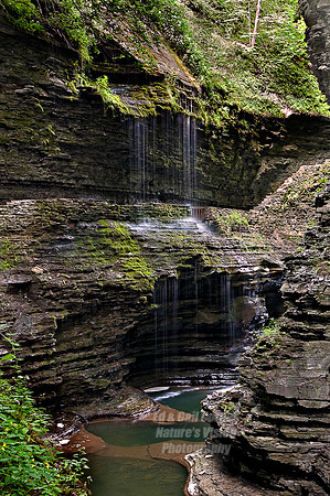 Ed 08-25-2009-3367Crop2