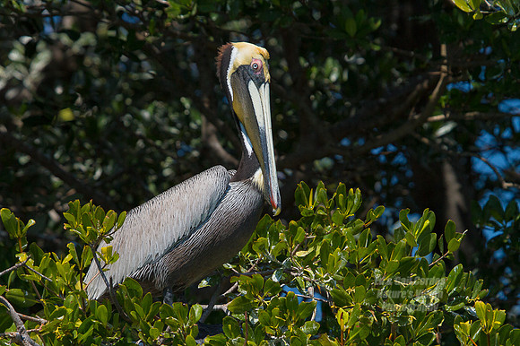 7D 2013-03-10-0109