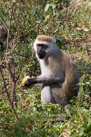 CRW_0782