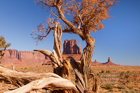 7D 2012-10-14-6743