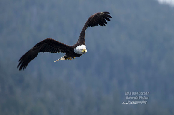 7D 2014-06-16-9066