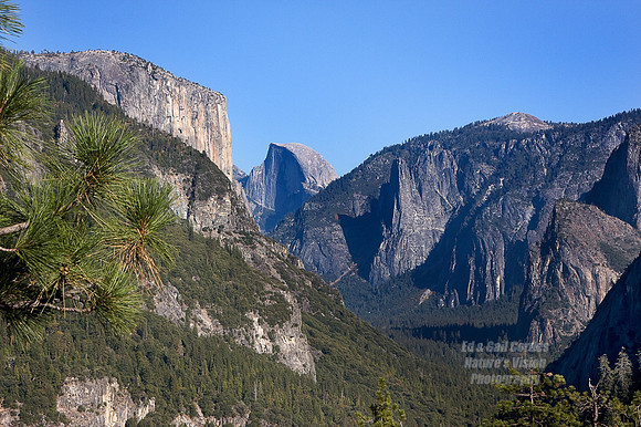 Yosemite Sequoia 2008-3718