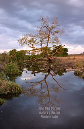 CRW_1195A