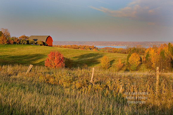 Red Barn On Seneca Lake