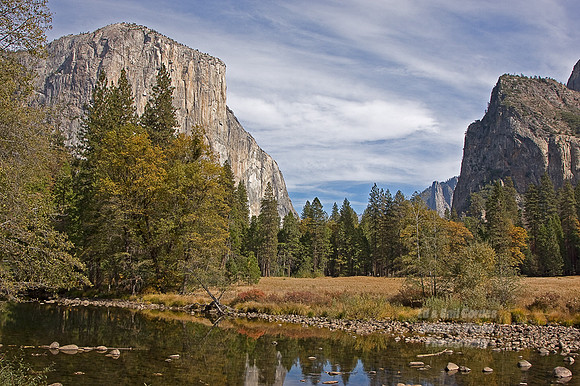 Yosemite Sequoia 2008-3842