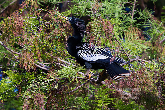 7D 2013-03-10-9753