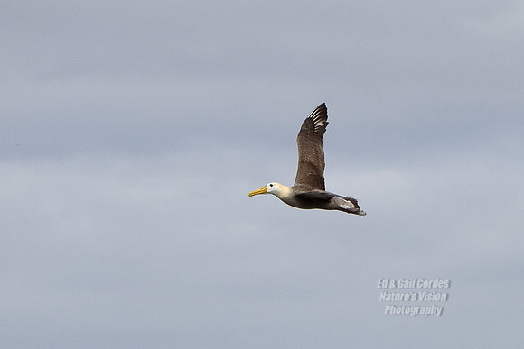 7D 2011-06-15-2085