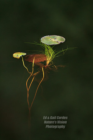 7D 2012-09-28-5929