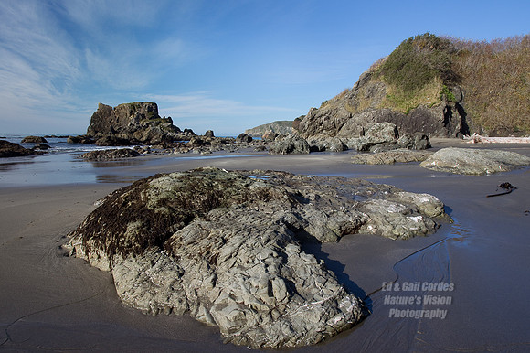 1D4 2010-11-12-6500