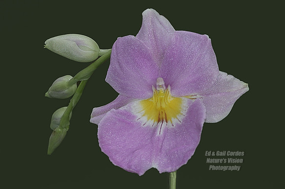 November 2004-2-3
