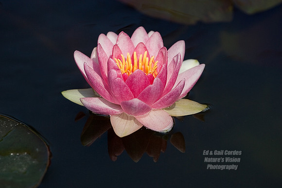 WL Reflection_X3O7782