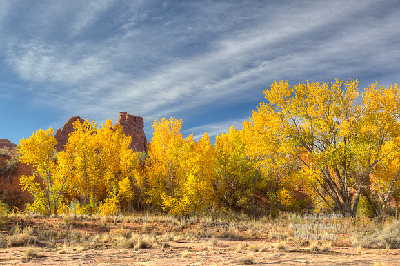 1D4 2012-10-16-2312_3_4_5