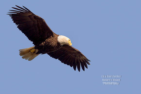 7D 2014-06-12-6210