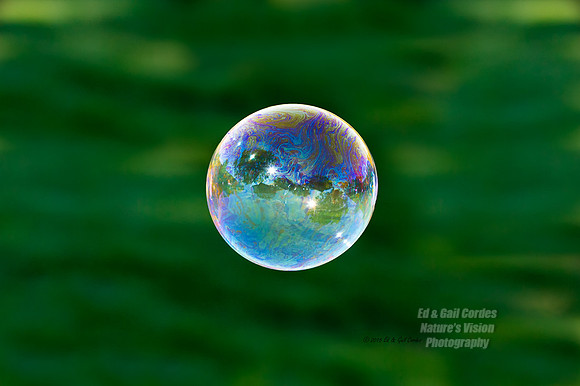 1D4 2015-10-15-5575