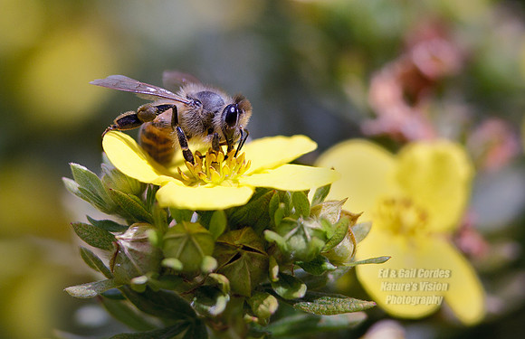 1D4 2012-08-27-1019