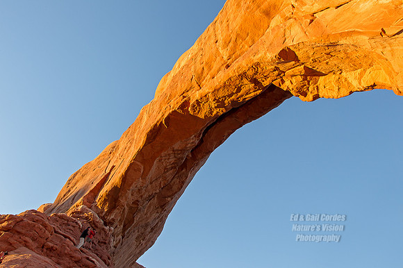 1D4 2012-10-16-2235