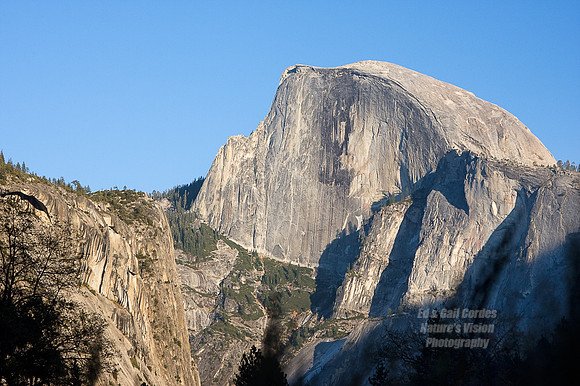 Yosemite Sequoia 2008-3731