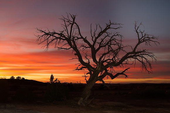 7D 2012-10-19-7597A