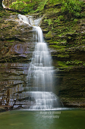 Ed 08-25-2009-3429Crop