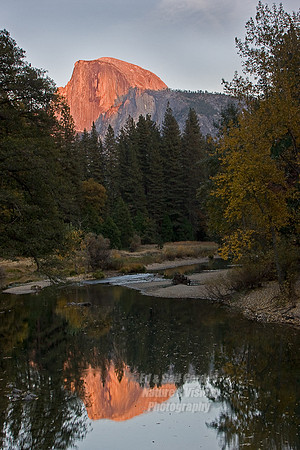 Yosemite Sequoia 2008-4125