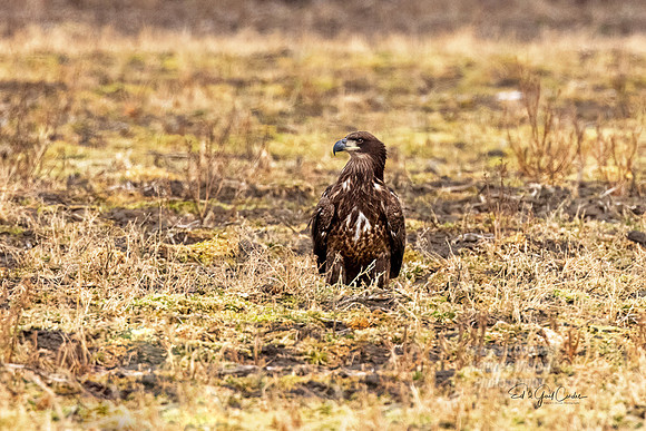 R5 2023-01-01-4777-Edit