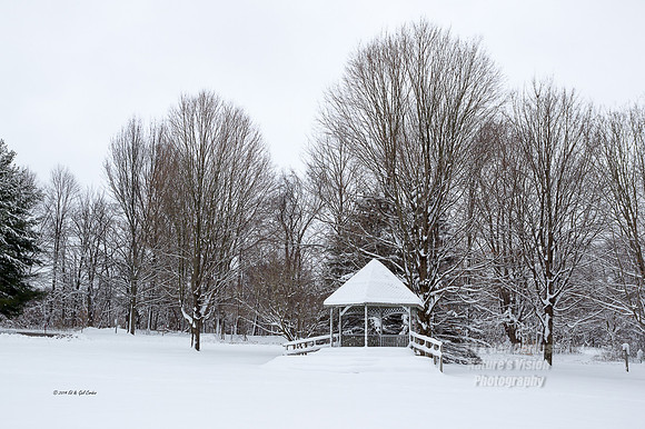 1D4 2014-12-13-2660