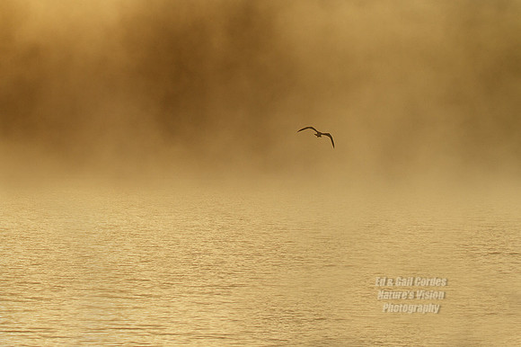 7D 2012-09-28-6154Art