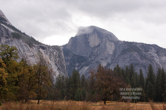 Yosemite Sequoia 2008-4293-Edit