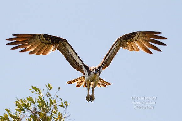 7D 2013-03-08-9303