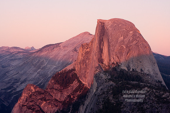 Yosemite Sequoia 2008-3998